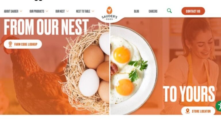 Best Eggs for Healthy Breakfast